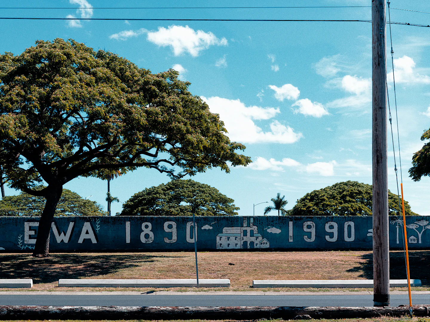 A painted Ewa 1890 1990 wall under a monkeypod tree and blue sky, with Kodak Kodachrome 64.